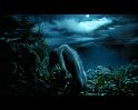 PDVD_2263