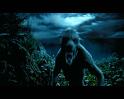 PDVD_2264