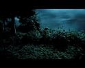 PDVD_2275