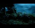 PDVD_2276