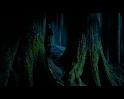 PDVD_2282
