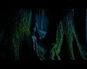 PDVD_2283