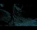 PDVD_2285