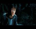 PDVD_2336