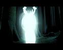 PDVD_2342