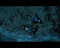 PDVD_2364