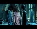 PDVD_2398