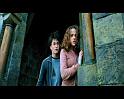 PDVD_2441