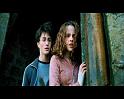 PDVD_2442