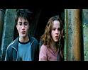 PDVD_2444