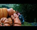 PDVD_2474