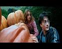 PDVD_2476