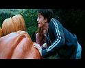 PDVD_2479