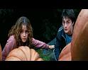 PDVD_2482