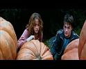 PDVD_2485