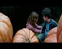 PDVD_2486