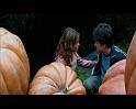 PDVD_2487