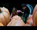 PDVD_2489