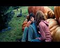 PDVD_2497