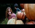 PDVD_2500