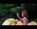 PDVD_2508
