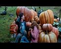 PDVD_2516