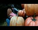 PDVD_2529