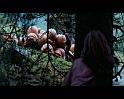 PDVD_2533
