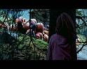 PDVD_2534