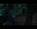 PDVD_2535