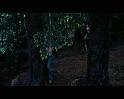 PDVD_2536