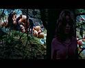 PDVD_2542