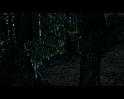 PDVD_2545