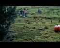 PDVD_2550