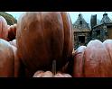 PDVD_2553