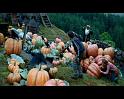 PDVD_2556