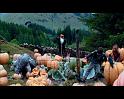 PDVD_2580