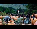 PDVD_2582
