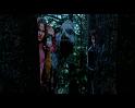 PDVD_2625