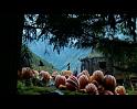 PDVD_2626