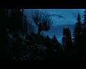 PDVD_2678