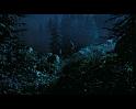 PDVD_2703