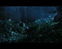 PDVD_2705