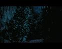 PDVD_2711