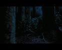 PDVD_2712