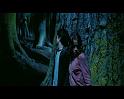 PDVD_2726
