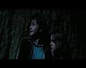 PDVD_2731