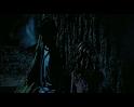 PDVD_2732
