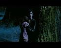 PDVD_2751