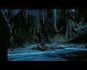 PDVD_2784